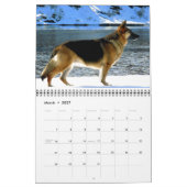Prachtige Duitse Shepherd Dog Calendar Kalender (Mar 2027)