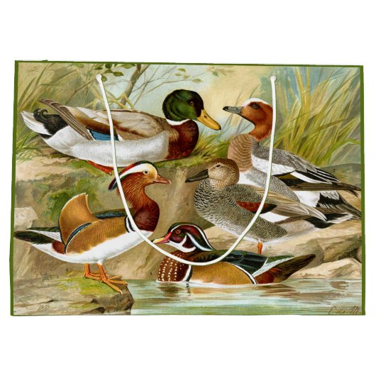 Prachtige eenden bij het wilde Pond Groot Cadeauzakje (Achterkant)