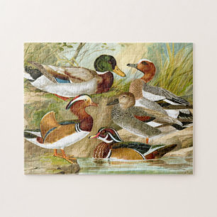Prachtige eenden legpuzzel