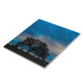 Prachtige eikenboom fotografie tegeltje (Zijkant)