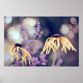 Prachtige Elegant Dreamweaver Coneflowers Lavender Poster