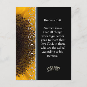 Prachtige Elegant Oranje Roos Christelijk Aanmoedi Briefkaart