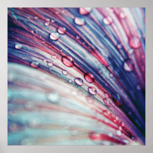 Prachtige elegante Abstracte roze blauwe druppels Poster