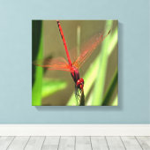 Prachtige firecracker Dragonfly Acrylverf Canvas Afdruk (Insitu (Houten vloer))