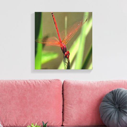Prachtige firecracker Dragonfly Acrylverf Canvas Afdruk (Insitu (Woonkamer))