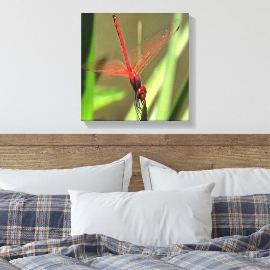 Prachtige firecracker Dragonfly Acrylverf Canvas Afdruk (Insitu (Slaapkamer))