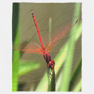 Prachtige firecracker Dragonfly Acrylverf Fleece Deken