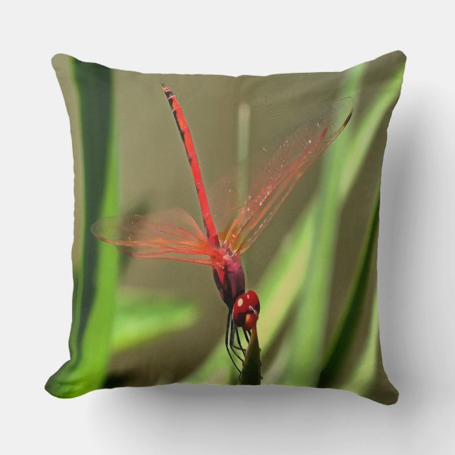 Prachtige firecracker Dragonfly Acrylverf Kussen (Voorkant)