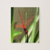 Prachtige firecracker Dragonfly Acrylverf Legpuzzel (Verticaal)