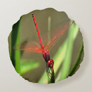 Prachtige firecracker Dragonfly Acrylverf Rond Kussen