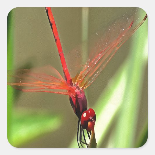 Prachtige firecracker Dragonfly Acrylverf Vierkante Sticker (Voorkant)