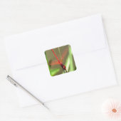 Prachtige firecracker Dragonfly Acrylverf Vierkante Sticker (Envelop)