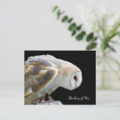 Prachtige foto van Barn Owl Briefkaart (Staand voorkant)