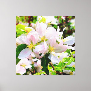 Prachtige foto van Malus asiatica Canvas Afdruk