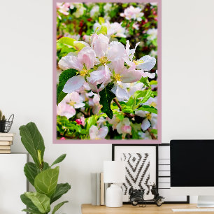 Prachtige foto van Malus asiatica Poster