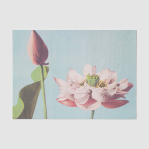 Prachtige fotomechanische prints van Lotus Flowers Tissuepapier