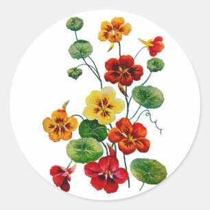Prachtige geborduurde Nasturtia's Ronde Sticker