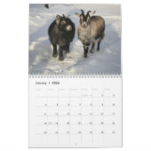 Prachtige geiten 12-maandenkalender voor 2016 kalender (Jan 2026)