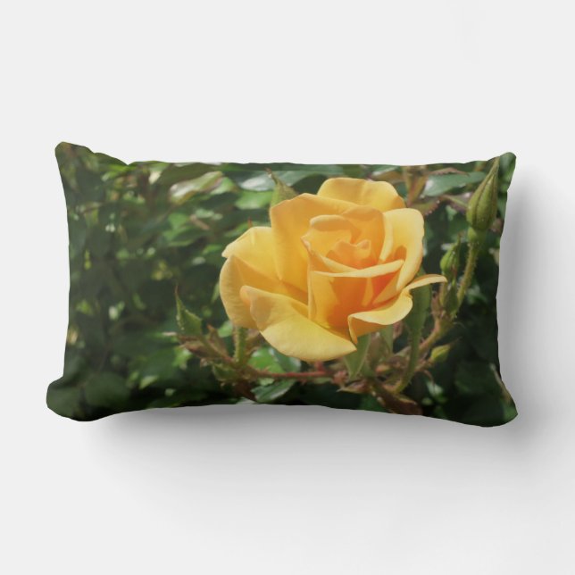 Prachtige gele Rose Lumbar Pillow Kussen (Voorkant)