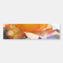 Prachtige gele rozenbloem. Florale fotografie