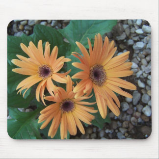 Prachtige Gerber Daisy Mousepad Muismat