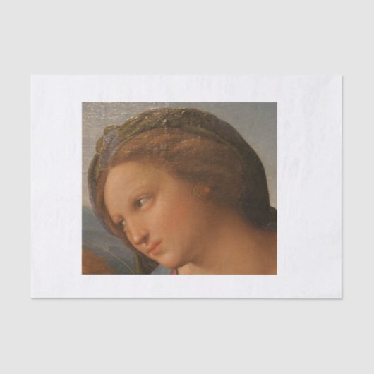 prachtige gezichtsontkoppeling tissuepapier (Voorkant)