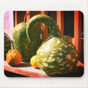 Prachtige Giant Gourds-Natuur Muismat