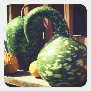 Prachtige Giant Gourds-Natuur Vierkante Sticker