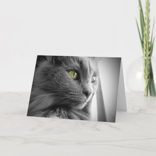 Prachtige Grijze Blauwe Kat met Groene Ogen - Blan Kaart (Voorkant)