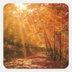 Prachtige herfst vierkante sticker
