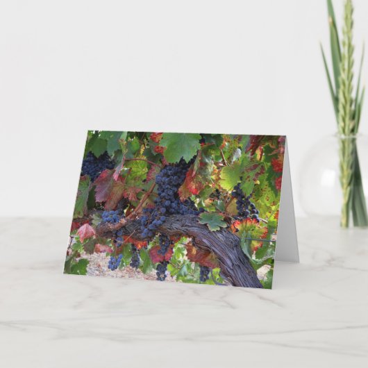 Prachtige Herfst Wijntuin met druiven Kaart (Voorkant)