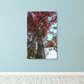 Prachtige herfstboom in Central Park Canvas Afdruk (Insitu (Houten vloer))