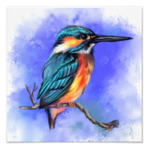 Prachtige ijsvogel foto print afdruk