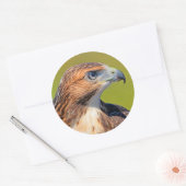 Prachtige jonge Rode-Keidevik Ronde Sticker (Envelop)