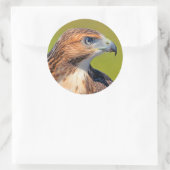 Prachtige jonge Rode-Keidevik Ronde Sticker (Tas)