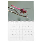 Prachtige kalender voor libellen (Feb 2026)