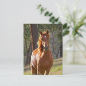 Prachtige kastanjebruine paarden in het veld briefkaart (Staand voorkant)