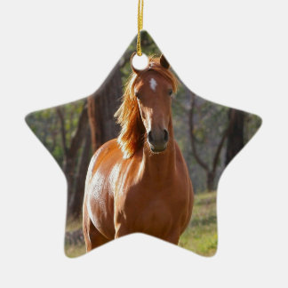 Prachtige kastanjebruine paarden in het veld keramisch ornament