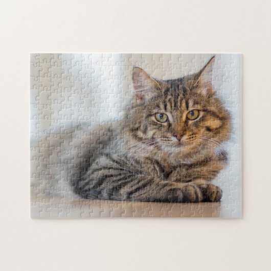 Prachtige kat die naar je jigzaag puzzle staart legpuzzel (Horizontaal)
