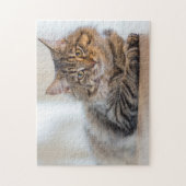 Prachtige kat die naar je jigzaag puzzle staart legpuzzel (Verticaal)
