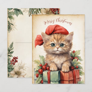 Prachtige Kittens Kerstmis Briefkaart