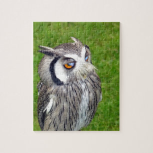 Prachtige Kleine Owl Legpuzzel