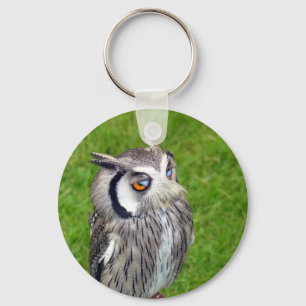 Prachtige Kleine Owl Sleutelhanger