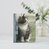 Prachtige kleine tabby-ontwerpen - zo schattig! briefkaart (Staand voorkant)