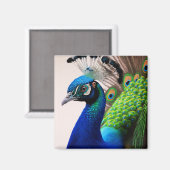 Prachtige kleurige Peacock Peafowl Bird Willife Magneet (Voorkant / Achterkant)