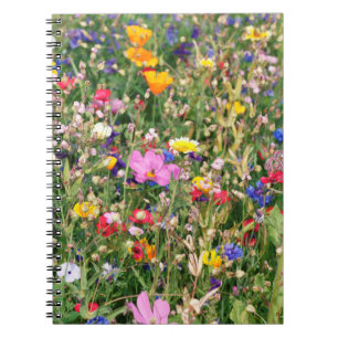prachtige kleurrijke weide van wilde bloemen notitieboek