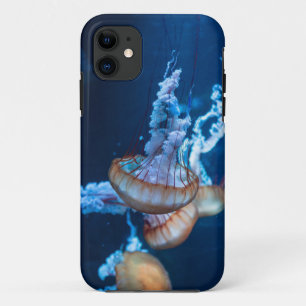 Prachtige kwal iPhone 11 hoesje