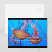 Prachtige kwallen Bijbelverse Briefkaart (Voorkant / Achterkant)