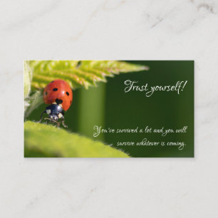 Prachtige ladybug met motivatie offerte visitekaartje