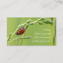 Prachtige ladybug met motivatie offerte